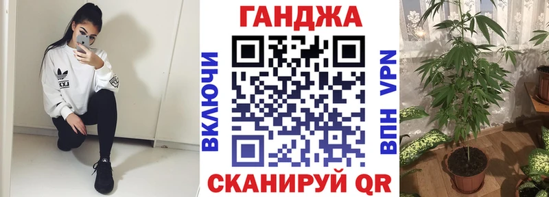 Шишки марихуана индика  наркотики  Киреевск 